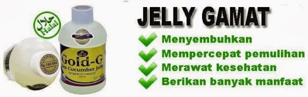 jelly-gamat13